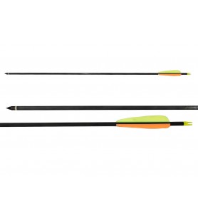 ABC CARBON ARROW with INSERT and POINT