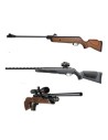 AIRGUNS  (Air pressure, IGT.CO2, PCP)
