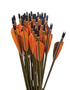 Flechas + Virot&otilde;es